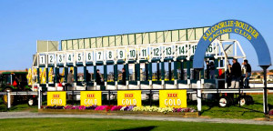 Kalgoorlie Races