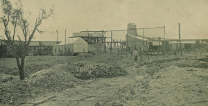 Menzies Consolidated Mine - 1899