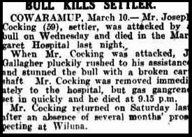 Western Mail 16 March 1933, page 18