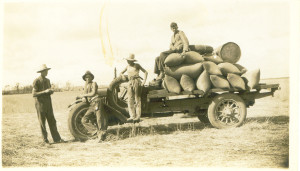 wheat on truck