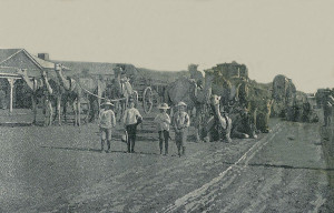 Lawlers 1903