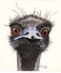 Horace