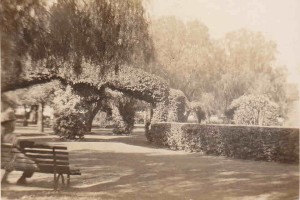 Victoria Park