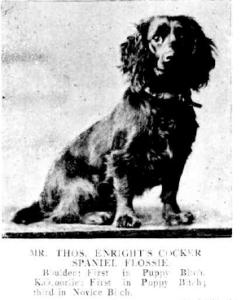 Dog Entrant
