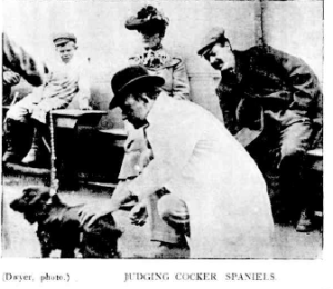 Judging of Cocker Spaniels 1905