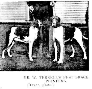 Pointers