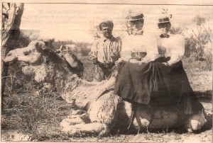 Alicia Buscombe aged 27yrs with Amy Argyle (nee Buscombe) aged 36yrs and a cameleer in 1900