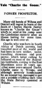 Vale - Charlie The Goose