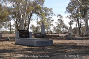 Tom Flanagan's Grave at the White Hills Cemetery in Bendigo 'Copyright Karen Mather 2016