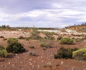 Saltlake near Southern Cross
