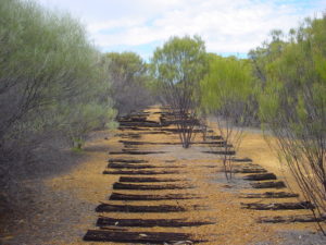 Single Gauge Woodline sleepers