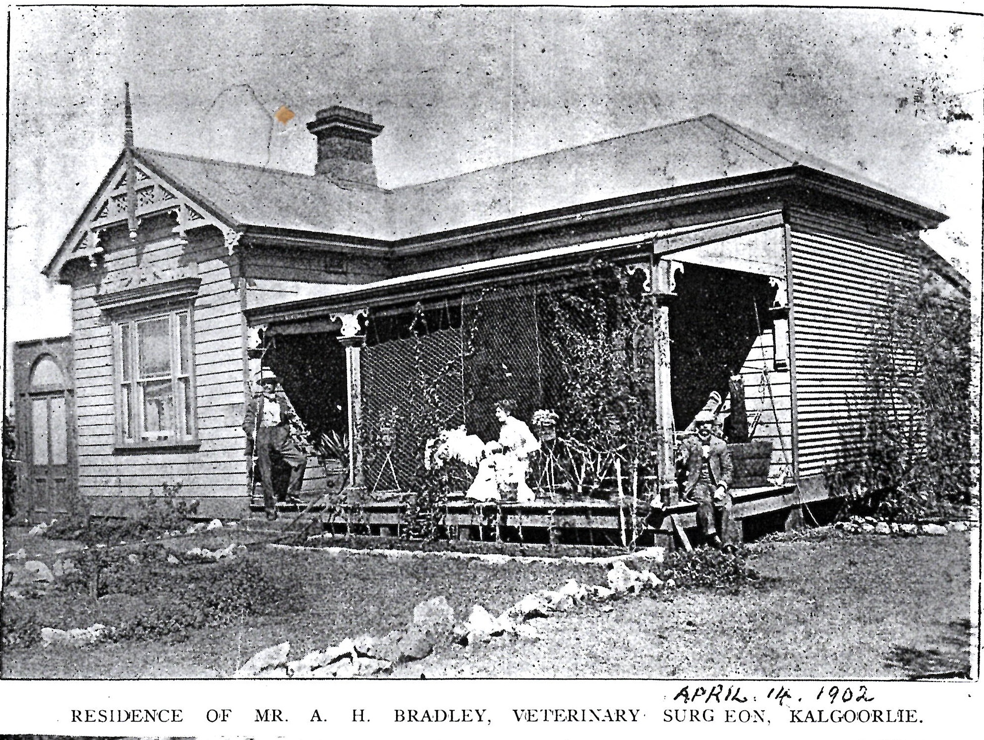 A-H-Bradley-Vetinary-Surgeon-5-Brookman-St-Kalgoorlie-1902