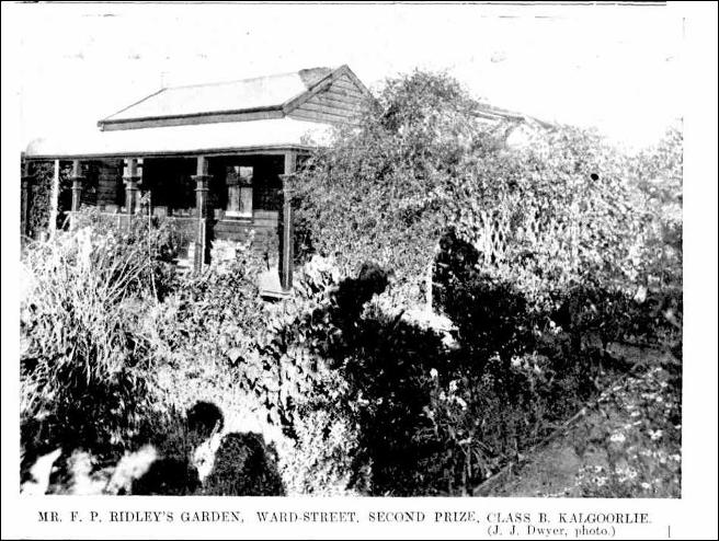 F-P-Ridley-ward-street-Kalgoorlie-Western-Argus-Tuesday-8-November-1910-page-24.jpg