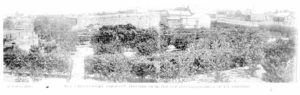 Mr Ridleys Garden Western Argus 1st Dec 1908 Pg 20