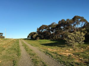 When walking clockwise, when walking down Old Coach Road keep a close watch out for the walking trail turn off to the left. It is shown here on the right, looking back up Old Coach Road. The junction is indistinct, but just after the 2nd stobie pole from the vehicle gate at the top.