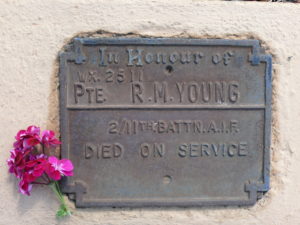 R M Young