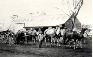 The Toorak Store Coolgardie
