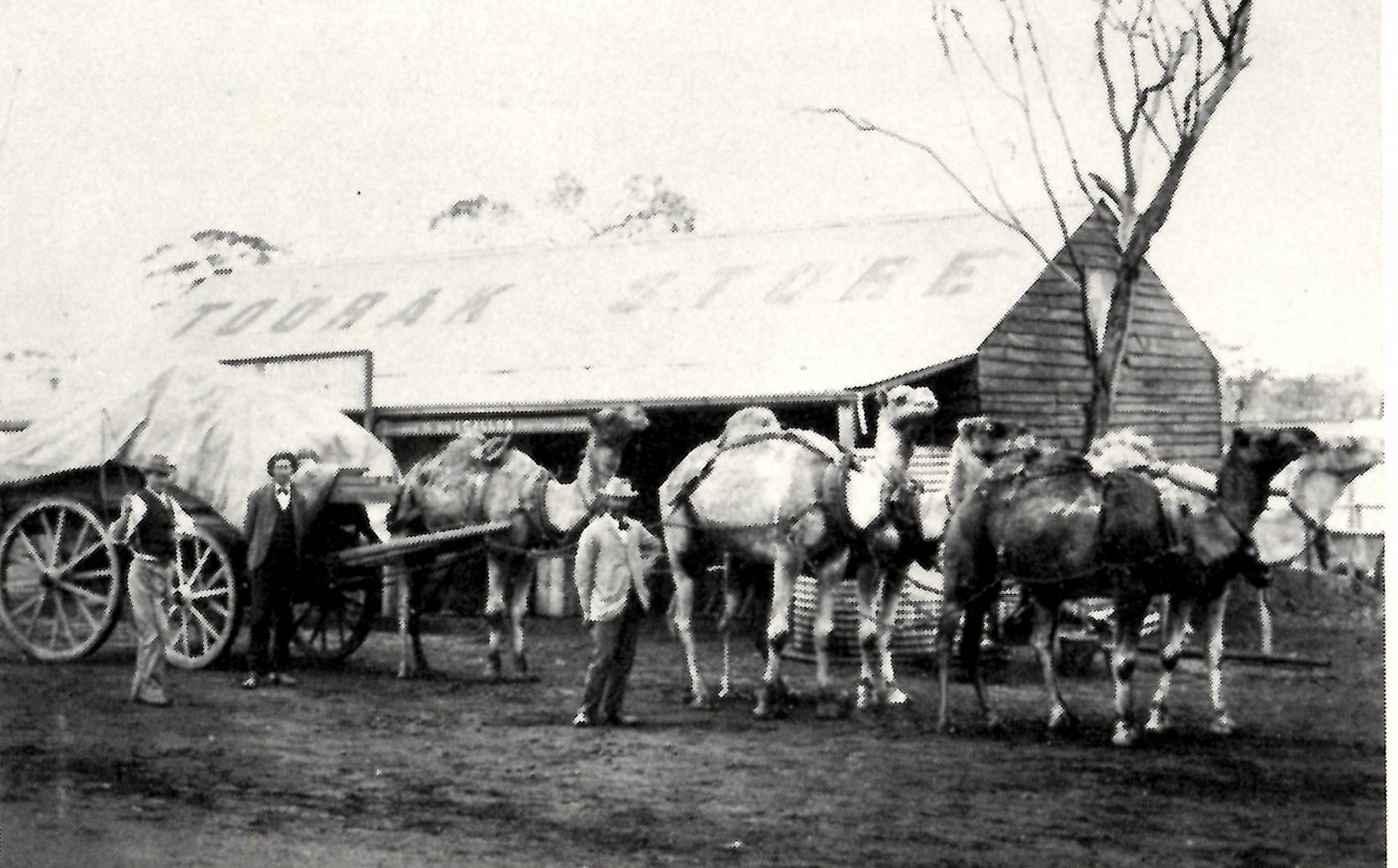 The Toorak Store Coolgardie