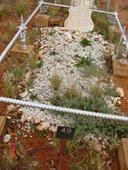 Grave of John Milroy, Coolgardie Cemetery