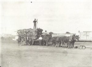 Trucking Sandalwood Southern Cross 1909
