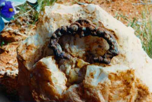 Handle from the coffin of James Howie