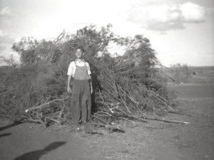 5th Nov 1948, Guy Faulks Night in Austral Rd, Kalgoorlie
