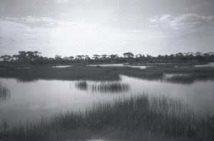 The Bullock Holes June 1951