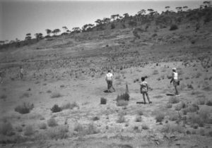Playing cricket in 1949 at the Salvation Army Picnic on the side of Hannan Lake.