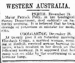 Evening Journal Adelaide 26 December 1899, page 3