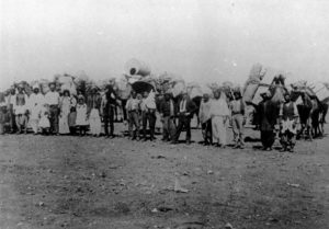 Afghan Camel Train