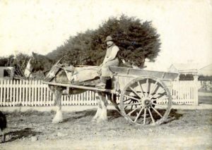 A prospector with horse and cart.
