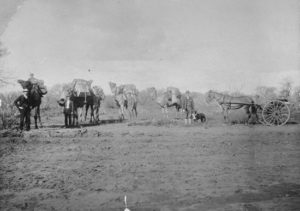 Prospectors Travelling to Black Range 1904