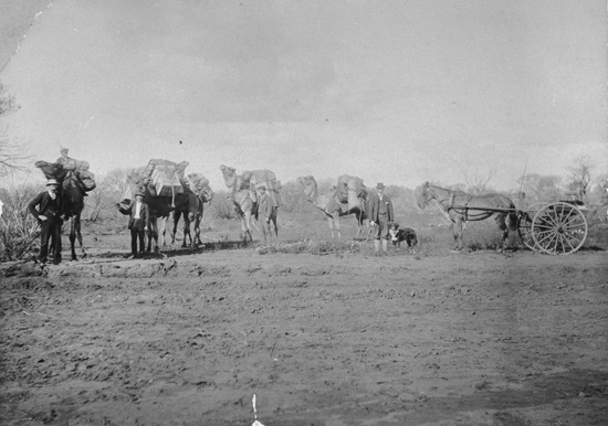 Prospectors Travelling to Black Range 1904