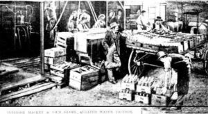 Interior of the MacKey Brewery 1898