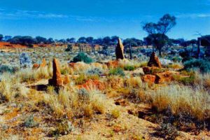 Yundamindra Cemetery, unidentified graves