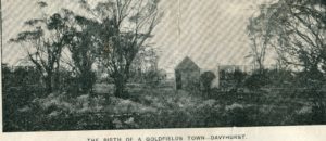 The Birth of a Town Davyhurst 1902