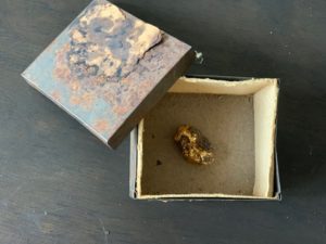 Gold nugget in tin from WA and Walter Davys photo from Patsy Whistler