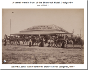 Colreavy's Shamrock Hotel, Coolgardie 1895. The lady in the centre next to the man is Cath Colreavy - Photo Hemus and Hall