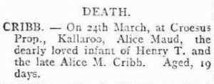 Kalgoorlie Miner Wednesday 25 March 1903, page 4