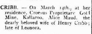 Kalgoorlie Miner Tuesday 17 March 1903, page 4
