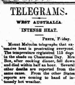 Died after cooking Christmas Dinner -Murchison Advocate 28 December 1901, page 3