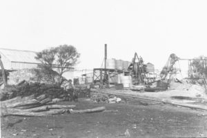 Trump GM 1901.