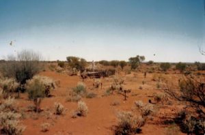 A View of Mt Morgans Cemetery