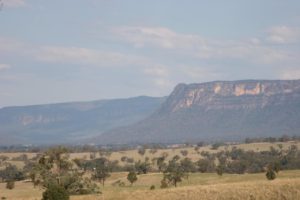 THE ROUGH TERRAIN IN WHICH JESSIE ROAMED AND LIVED FOR PART OF HER LIFE. PHOTO BY JENNIFER GHERADI.