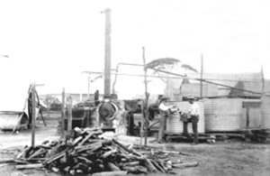 A Coolgardie Water Condenser