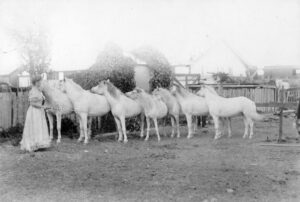 Photo given to Shyama Peebles, a friend of Mrs Hyland.