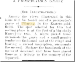 Western Mail (Perth, WA : 1885 - 1954), Friday 28 July 1899, page 33
