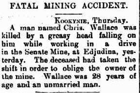 Christopher Wallace - Mount Magnet Miner and Lennonville Leader, Saturday 24 January 1903