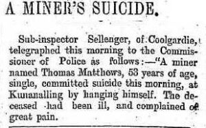 Daily News (Perth, WA : 1882 - 1950), Wednesday 27 March 1901, page 3