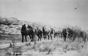 The Coolgardie to Woolgangie Coach